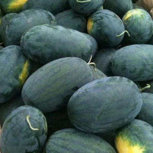 泗水吃瓜鲜花,探寻地方特色美食与美景