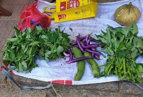 杨桥大堤吃瓜,吃瓜群众的欢乐时光