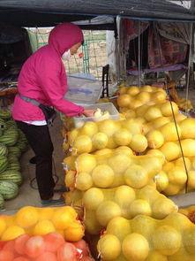 宁夏免费吃瓜,免费瓜果盛宴，共享清凉夏日时光